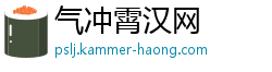 气冲霄汉网